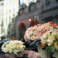 sahar_nm (@mesharigmail) 's Twitter Profile
