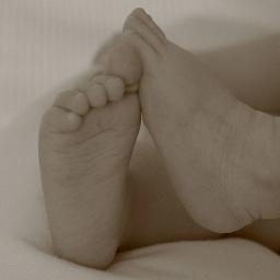 steph_dwk's profile picture. 