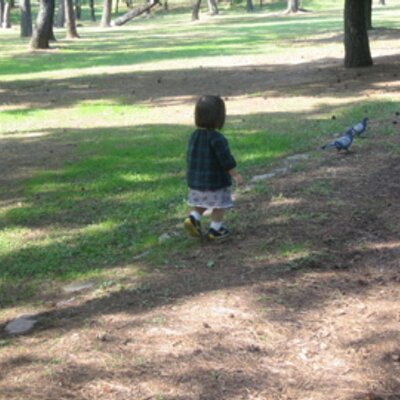 Nocco Knsaku1 Twitter