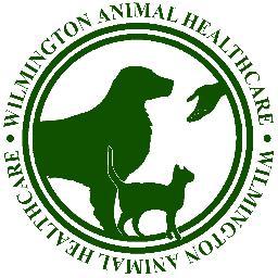 Doggie Daycare at Wilmington Animal Healthcare