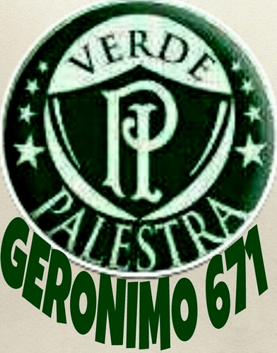 MEU VERDÃO DE ARENA PALESTRA!