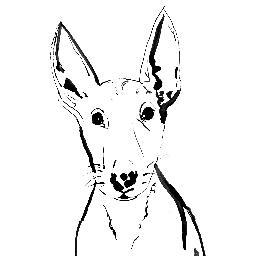 Custom pen & ink fashion style illustrations of your pets!