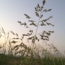 عاشقة الورد - @EdnaEverett6 - Twitter