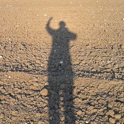 Tamsinc_AAC's profile picture. SLT and AAC enthusiast