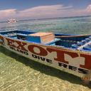 Raymond Au - @Raymond_wh_au - Twitter