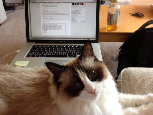 jimhuf's profile picture. Director of ETL
Software Solutions for Embedded and Mobile Systems.