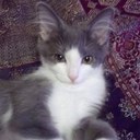 Shane Corbin - @scorbinuk - Twitter