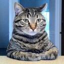 Phil Sturgeon (Test) - @philsturgeon_t - Twitter