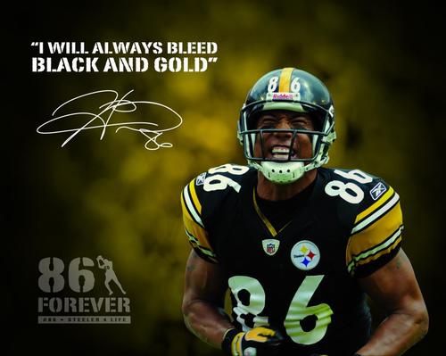 Steelbucki15's profile picture. 