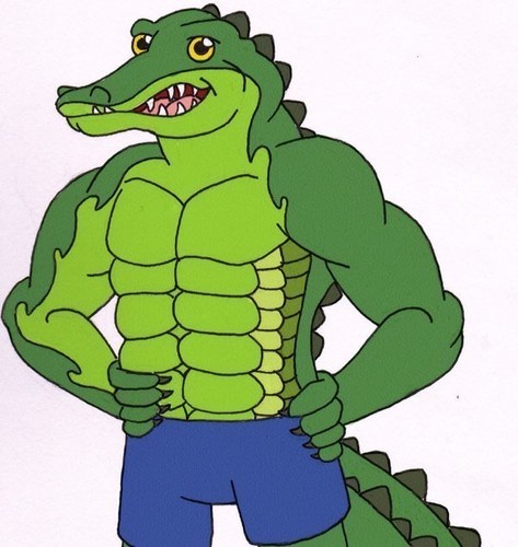 A slightly above average crocodile