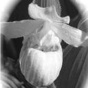 Julie Gartrell - @drjuliejg - Twitter