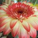 Rita Hendrickson - @8163 - Twitter