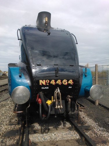 nineelms1's profile picture. 