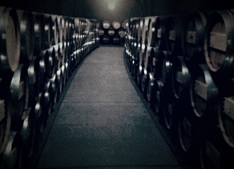 rock2325's profile picture. 