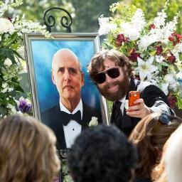 Hi my name is Alan I am a daddy's boi. I am a big Jonas Brothers fan and enjoy Oreo smoothies and spending time with my best buddy Phil