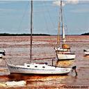 Nancy Mara - @NancyMara1 - Twitter