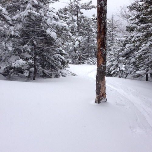 Off grid in vt.