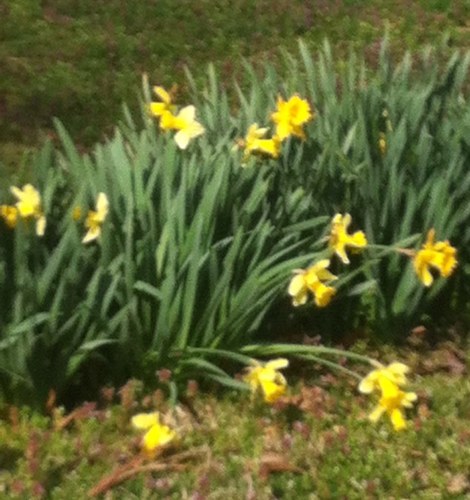 teezee13690's profile picture. I review for Night Owl Reviews and I drive a truck for a living. I love to read. The books i like to read the most are M/M romances.