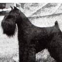 Victor Daniel Rabago - @rabsan04153126 - Twitter