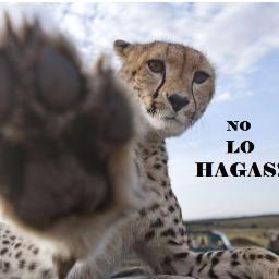 davidsan123's profile picture. 