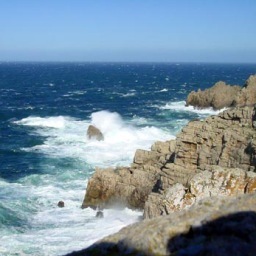 pepamont's profile picture. 