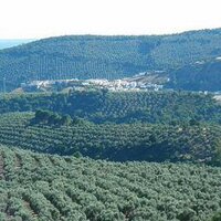 Rudie Glanac (@rudieglanac) 's Twitter Profile