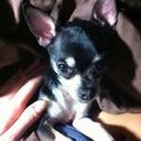 Mae Chaplin - @Wan_Css - Twitter