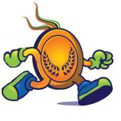 Will Run For Bling is a virtual race company offering virtual runs to help raise money for charities and offer runners an opportunity to run for the best BLING!