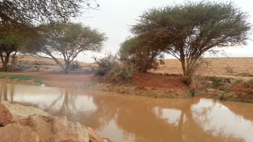 الحساب الرسمي للشاعر عبيد بن دهره
