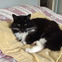 Tricia Hoffman - @minky830 - Twitter