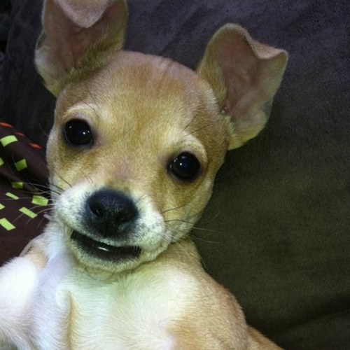 50assilem's profile picture. Please don't take me seriously. I hate when you do that. NO relation to Fidel.