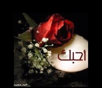 طالبه بجامعة الملك سعود ،،،،،،،،،،،،،،،،،، دوسريه وكفى