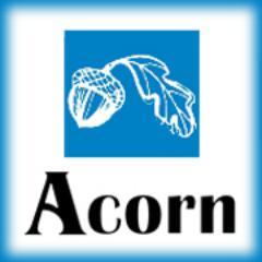 The Acorn Online Profile