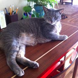 michaelschafer1's profile picture. Proud, Gay, Male Floridian. Would never vote for Trump. It is possible to be a conservative and not a republican. Read at least one book a week.