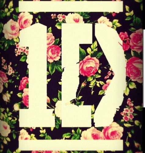 You have to take do risks if you want find love-Zayn Malik