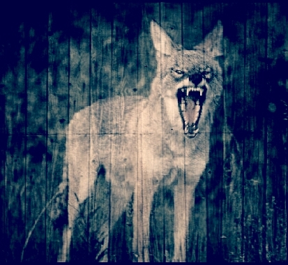 unstructured1's profile picture. 