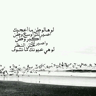 لأجلك فقط ♥ @xxkk117