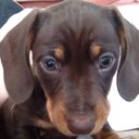 Dylan Hartwell - @live_dylan - Twitter