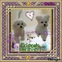 monica mateo nah - @monicamateonah - Twitter