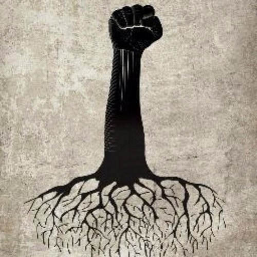 mhrrmckgl's profile picture. 