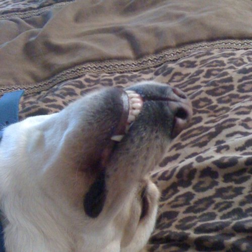 ron_wpc's profile picture. 