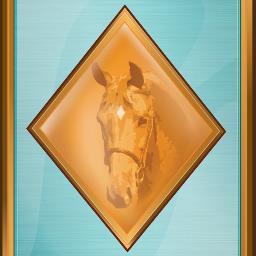 DiamondExhibits's profile picture. Events / Exhibits / Multimedia