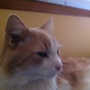 Peggy Daniels - @Anrnami - Twitter