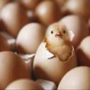 Beau Castillo - @beau4813 - Twitter