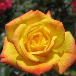 entertech1's profile picture. 