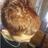 luvs2masturbate's profile image