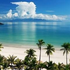 sun, surf, cars, culture, style, crypto