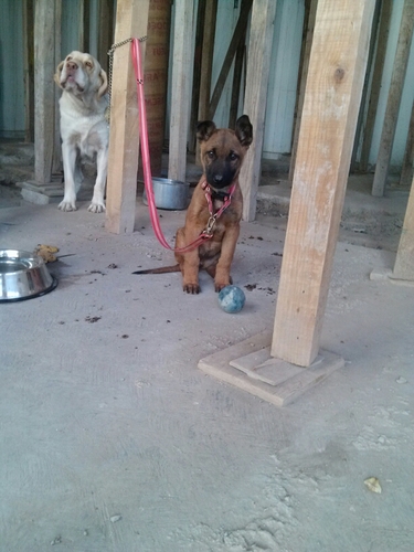 Francisco7448's profile picture. 