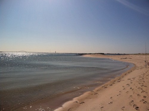 dollibross's profile picture. 