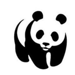 Photographer | Psychologist | Animal Lover